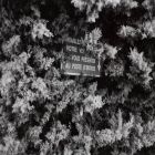 Galerie PROJET DEMAIN